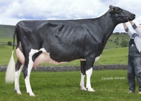 Sterndale Laurie Ghost ET EX93