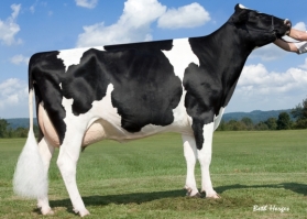 Lylehaven Legacy EX90 - Housed in US